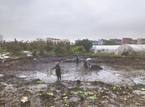 曲靖河道鱼塘清淤